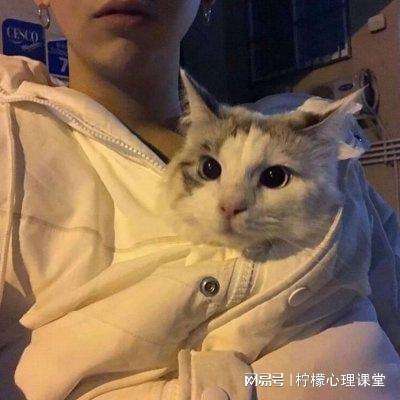 攻沙屠龙官方下载